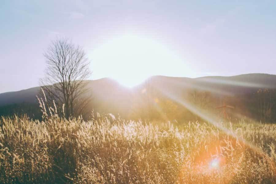 锦赛亚军阿, 位赢得签名, 所言 锦赛亚军阿, 位赢得签名, 所言